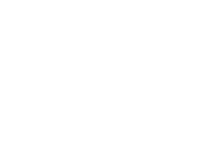 Handwing Pest Solutions